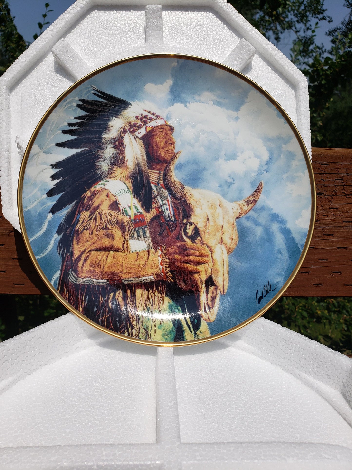 Franklin Mint- American Indian Heritage- Hear Me Great Spirit
