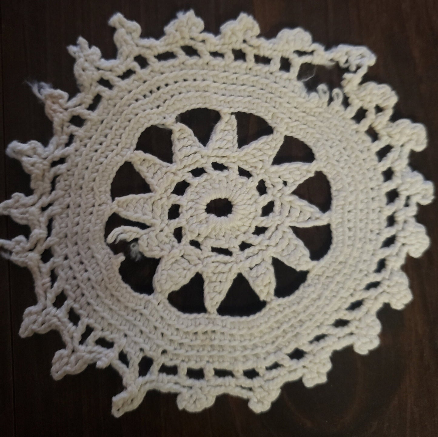 Vintage Crocheted Doilies Set